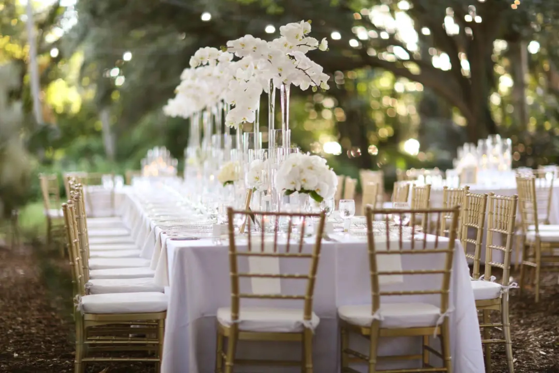 A long banquet table dressed for an event